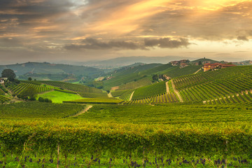 Langhe panorama, Barbaresco vineyards view at sunset, Piedmont, Italy Europe.