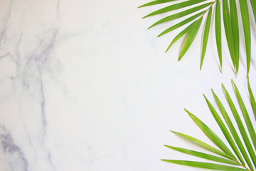 Tropical palm leaves on marble floor background. Flat lay, top view, copy space ,