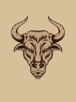 Bull head illustration in vintage color for apparel and other merchandise