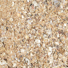 Sand texture on the beach