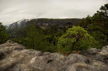 low clouds in the sandstone mountains of the czech republic