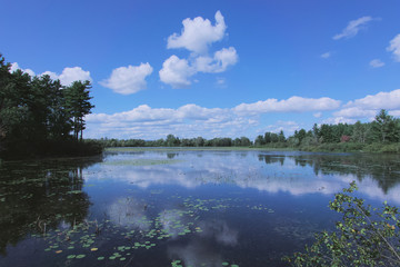 A lake landscape on a sunny day