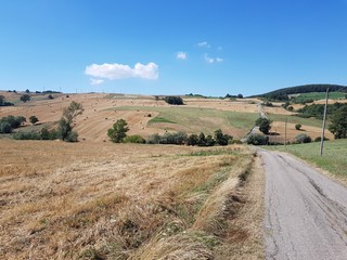 Obraz premium road in the countryside