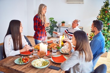 Beautiful family meeting smiling happy and confident. Speaking speech eating roasted turkey celebrating Christmas at home