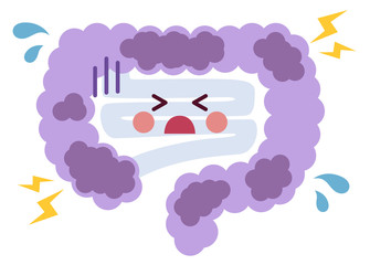 便秘 悪い 病気の腸