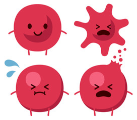 細胞浸透 赤血球