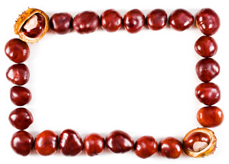 Frame made of chestnuts isolated on a white background. Text space.