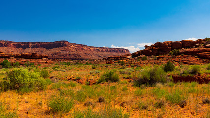 Canyonlands National Park, Needles District, Utah