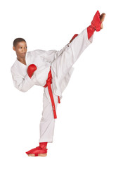 Karate african