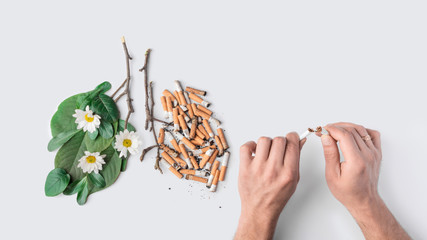 Last cigarette conceptual photo. Stop smoking topic. Mens hands break a cigarette. Lungs of a...
