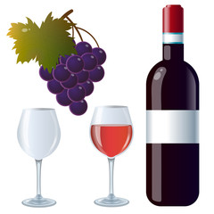 Color images of bottle of red wine with glasses and grape or grapevine on white background. Food and meals. Vector illustration set.