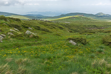 Obraz premium Summer landscape near Cherni Vrah peak at Vitosha Mountain, Bulgaria