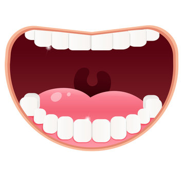 Color image of open mouth with white clean teeth on white background. Health and hygiene. Vector illustration for dentistry.