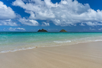 Fototapeta na wymiar Tropical Beach in Hawaii