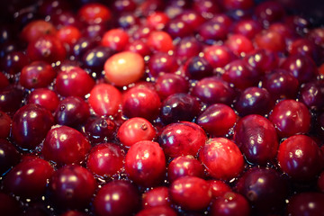 background of cranberries