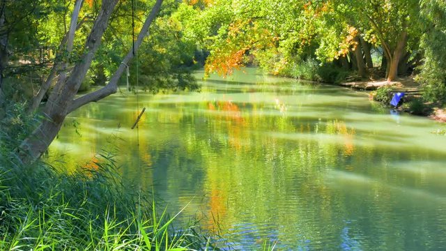 buc&oacute;lico estanque con reflejo de bosque