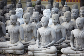 outdoor orderly buddha statue background