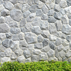 Stone wall and tree