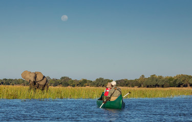 Canooning on the Zambezi