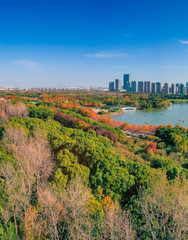 Aerial aerial photographof of the new century park in Pudong New Area, Shanghai, China