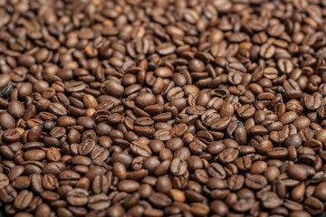 coffee grains for background