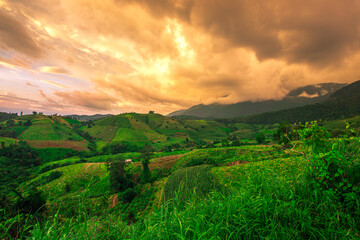 Natural blurred background of twilight light in the evening, the atmosphere is surrounded by nature (mountains, meadows, trees, leaves) and cool breeze blowing, natural beauty.