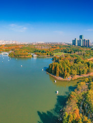 Fototapeta na wymiar Aerial aerial photographof of the new century park in Pudong New Area, Shanghai, China