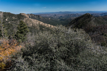 Emory Pass area view in southwest New Mexico.
