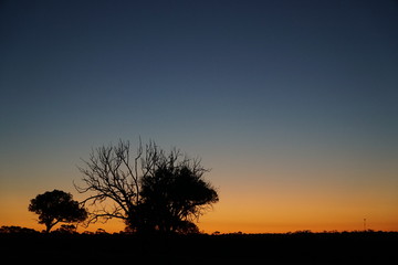 sunset in the australian outback