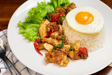 Fried basil chicken with fried egg and white rice in white dish on wooden table.