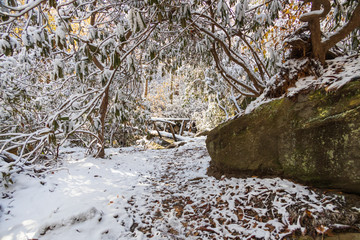 Obraz na płótnie Canvas Hiking trail through snow covered woods in Great Smoky Mountains National Park