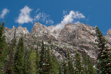 Snow covered mountain peaks above the forest