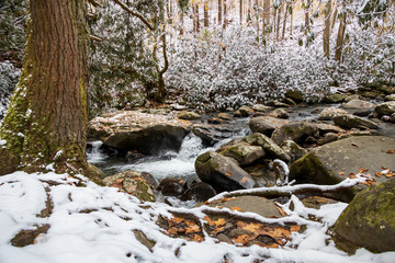 Mountain Stream through snow covered woods in Great Smoky Mountains National Park