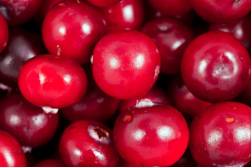 Background of fresh ripe cranberries. Top view. Macro photography.