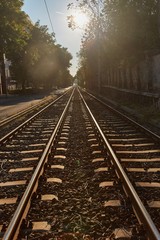 Obraz na płótnie Canvas Tram line rails in the suburbs with sunlight flare