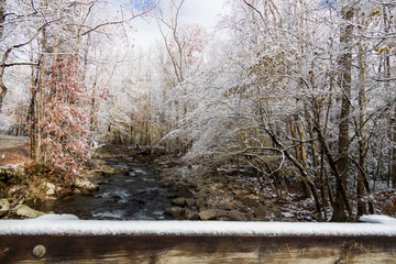 Mountain Stream through snow covered woods in Great Smoky Mountains National Park