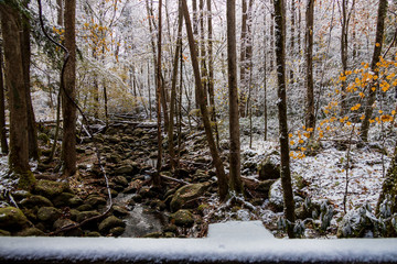 Fototapeta na wymiar Mountain Stream through snow covered woods in Great Smoky Mountains National Park