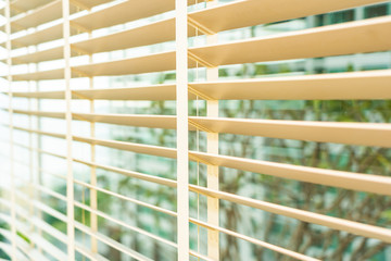 Blinds shade window decoration interior