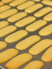 Homemade Delicious Indonesian Traditional Cookies