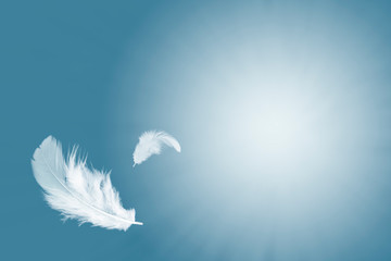 Soft white feather floating in the air 