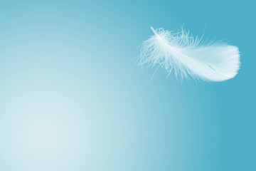 Soft single white feather floating in the air 