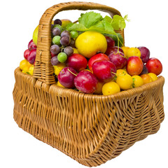 Basket with cherry plum and plums.