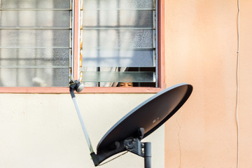 children staring out of the window