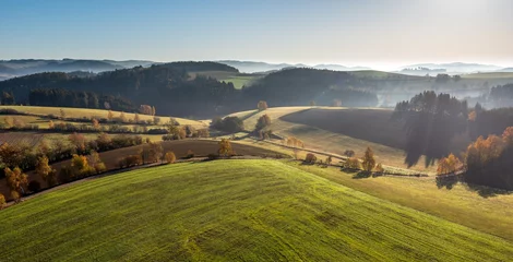 Foto op Plexiglas Hoge hoekopname van een groen landschap met veel bomen onder de heldere hemel © Jan Gruber/Wirestock
