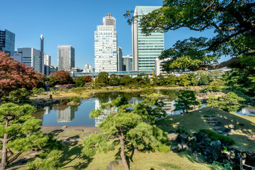 Fototapeta premium 旧芝離宮恩賜公園