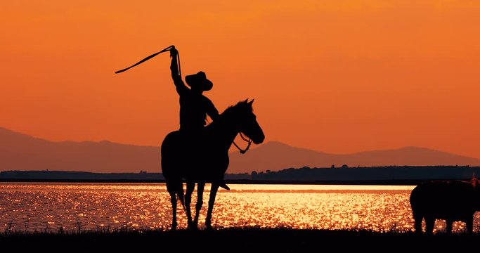 Silhouette  of Cowboy on horseback,Cowboy riding horse with beautiful sunset background and lake, horse with sunset landscape background,( life style)