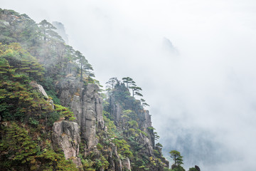 China Huangshan Scenic Area Landscape