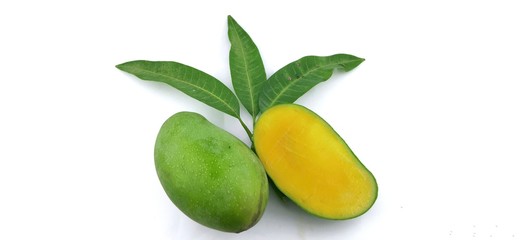 Fresh green mangoes