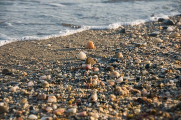 Fototapeta na wymiar Seaside. Pebbles on beach. Summertime. Natural background 