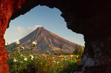 Mayon Volcano with a beautiful flower garden in legazpi city albay Philippines